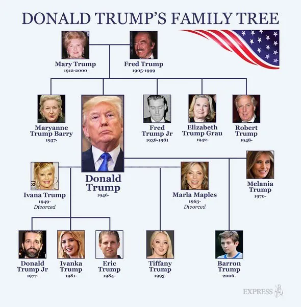 Donald-Trump-family-tree-